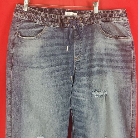 LANE BRYANT Pull-On High-Rise Cozy Wide Leg Jean - Medium Wash Size 16 - Picture 3 of 9